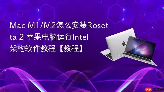 Mac M1/M2��ô��װRosetta 2 ƻ����������Intel�ܹ������̡̳��̡̳�