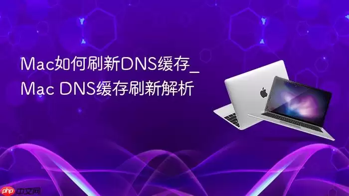 Mac���ˢ��DNS����_Mac DNS����ˢ�½���