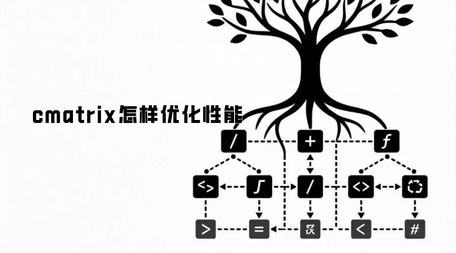 cmatrix�����Ż�����