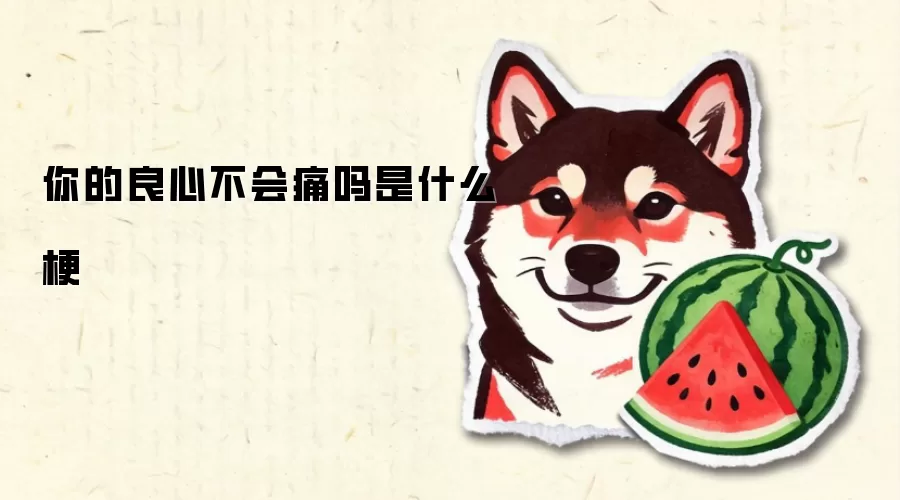 ������Ĳ���ʹ����ʲô��