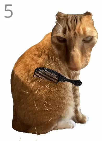 ��è��ë��Ϸ���ˣ��Ѷȳ��� ʧ����������