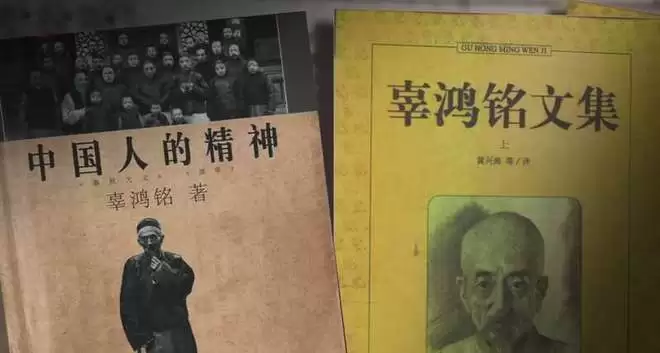 6�����׼�¼Ƭ������������������