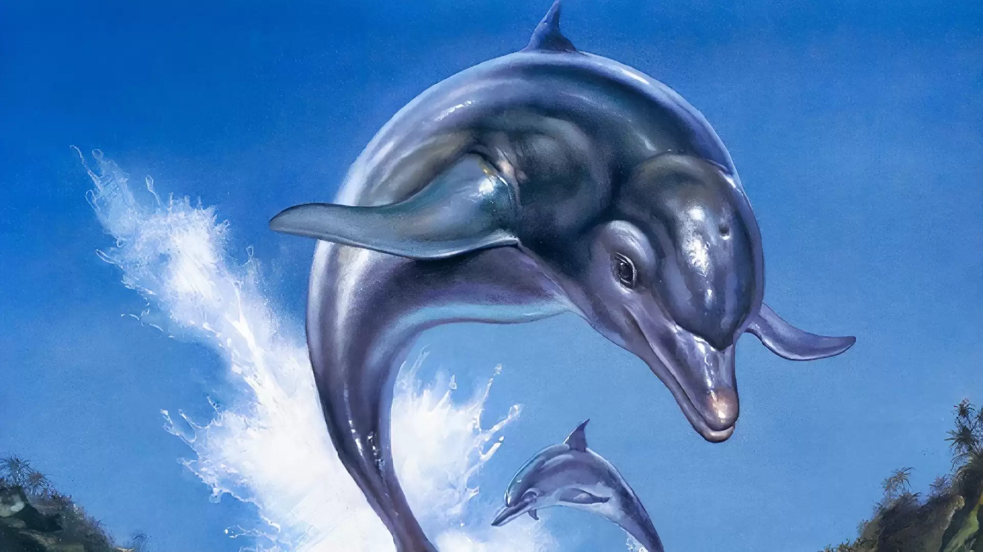 Xbox����CEO��ʾ����Discord���ĳ�ֺ���