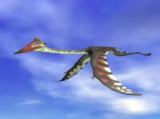 ���������ޣ���Դ��Զ��������