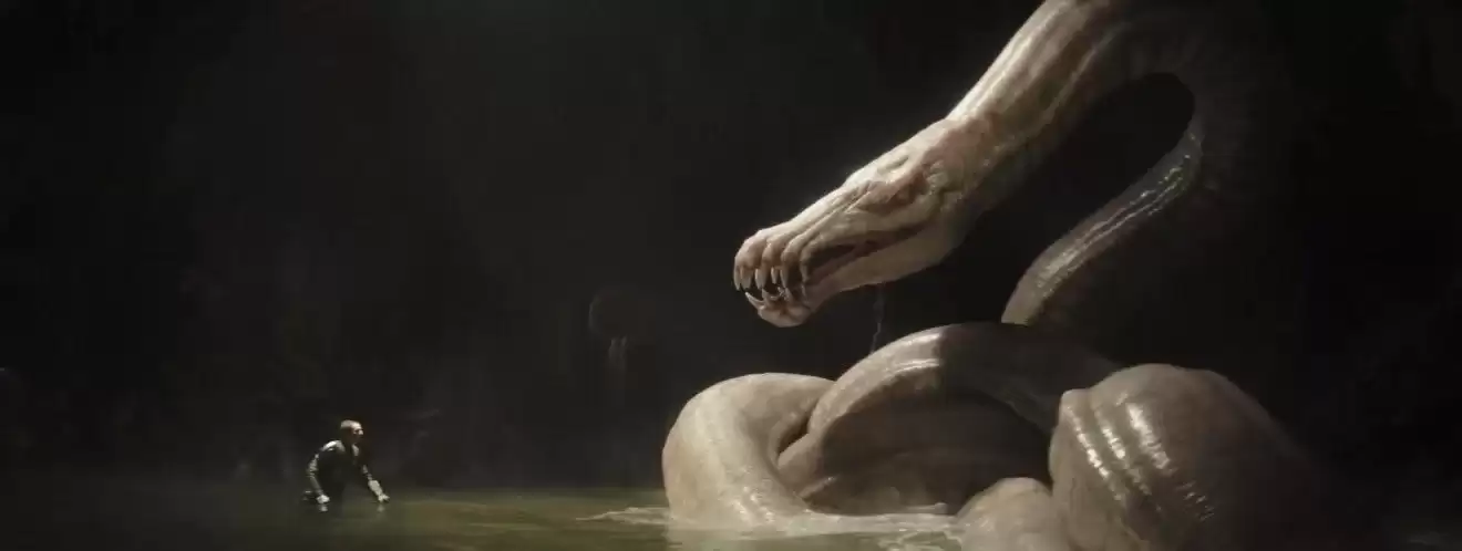 �ҿ��ˡ�������������޹š���ǰ15���ӣ����в����뷨