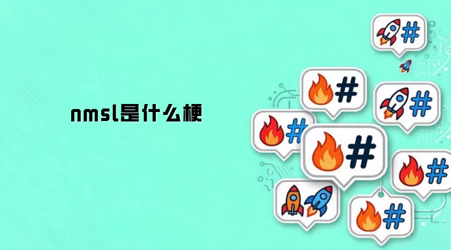 nmsl��ʲô��