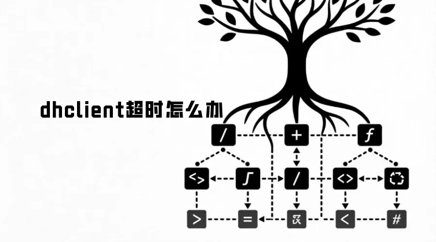 dhclient��ʱ��ô��