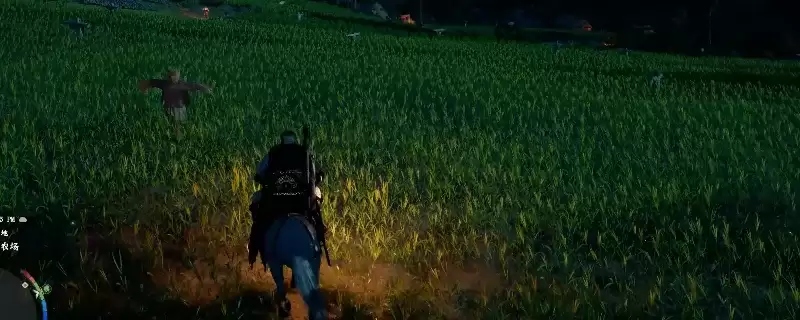 ����ɫɳĮ�����޻��ʳ�ķ���-���ٻ�ȡʳ�ļ������