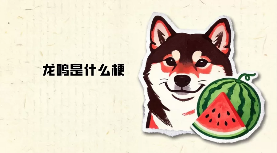 ������ʲô��