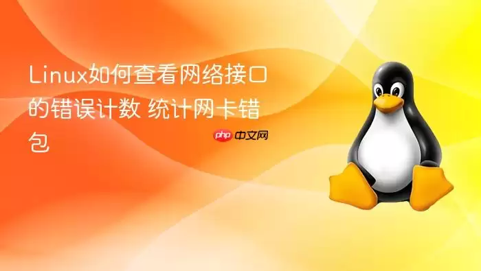 Linux��β鿴����ӿڵĴ������ ͳ����������