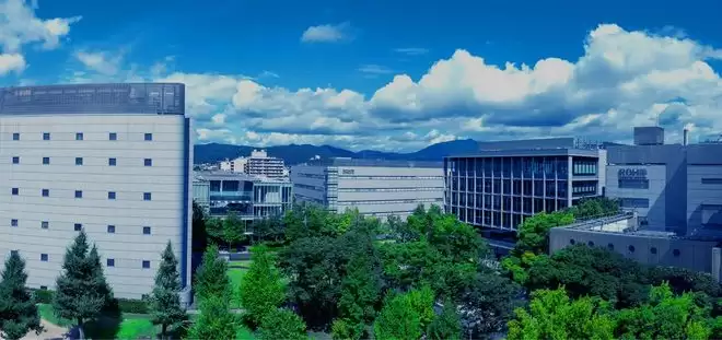 ��Ϣ�Ƶ�װ�����չ���ķ������Ԥ���붫֥������������ҵ��