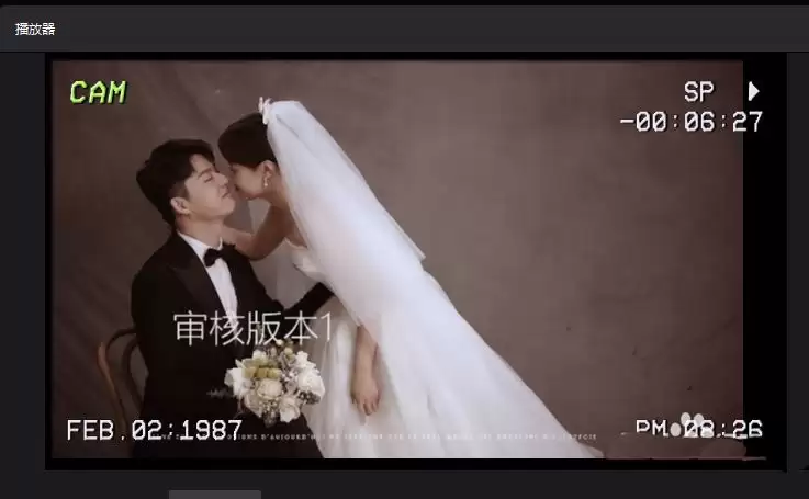 ��ӳdv¼�ƿ�������-dv¼�ƿ����ϸ����