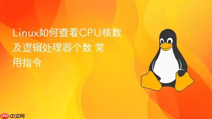 Linux��β鿴CPU�������߼����������� ����ָ��
