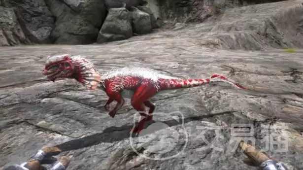 �������������������ͼ����ȫ���������������ȫ�������ԡ�ѱ������;���