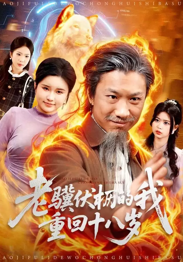 �̾硶�������������ػ�ʮ���꡷�������