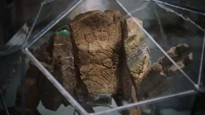 ����ȼƻ��������Ա�ɲ�����˹�����䣡