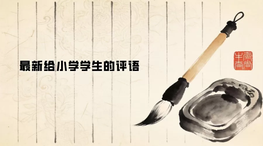 ���¸�Сѧѧ��������