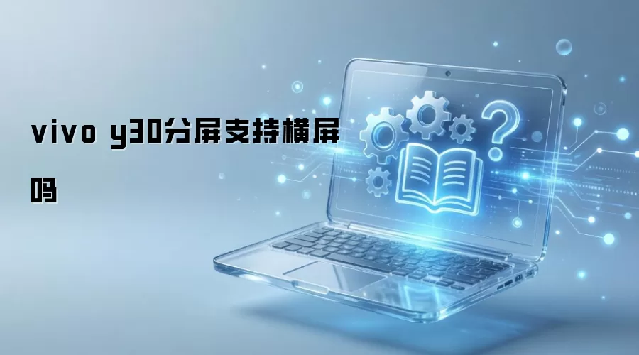 vivo y30����֧�ֺ�����