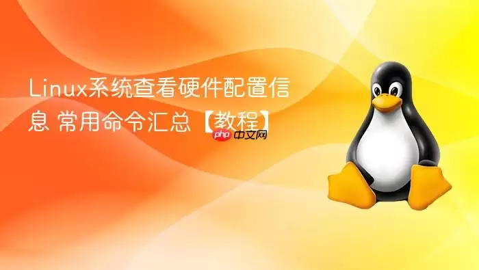 Linuxϵͳ�鿴Ӳ��������Ϣ ����������ܡ��̡̳�