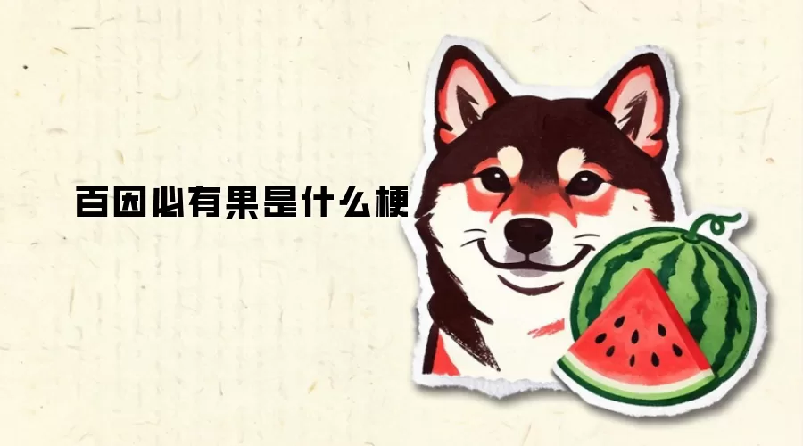 ������й���ʲô��