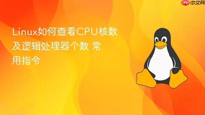 Linux��β鿴CPU�������߼����������� ����ָ��