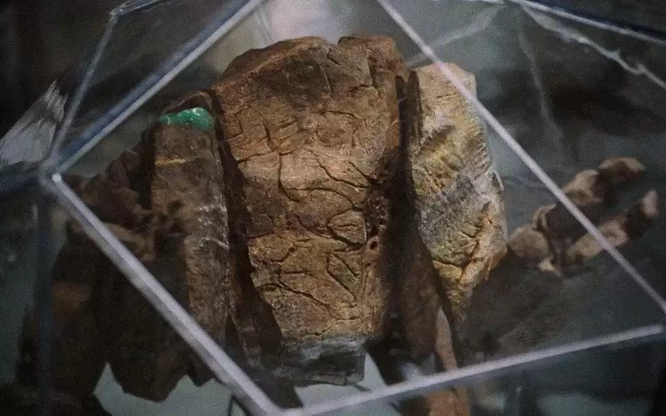 ����ȼƻ��������Ա�ɲ�����˹�����䣡