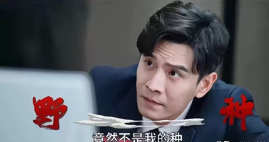 ������͡�����ϳ��챨Ӧ���ˣ�����ϲ���������������������ɫ