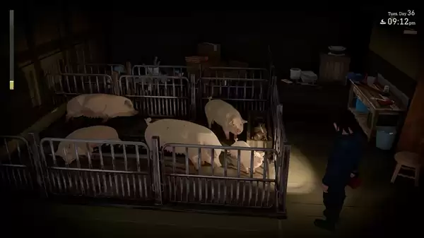 ����ɫɳĮ������Ů��ģ��