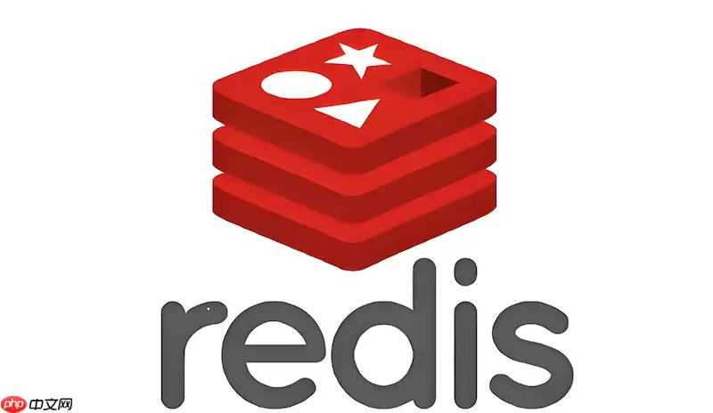 Security����RedisΪ�����л�����_��ר�÷����л���