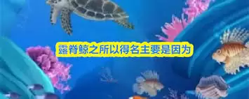 ¶����Ϊ�ε�����Ҫ����Ϊʲô-¶����������Ҫԭ����ɶ