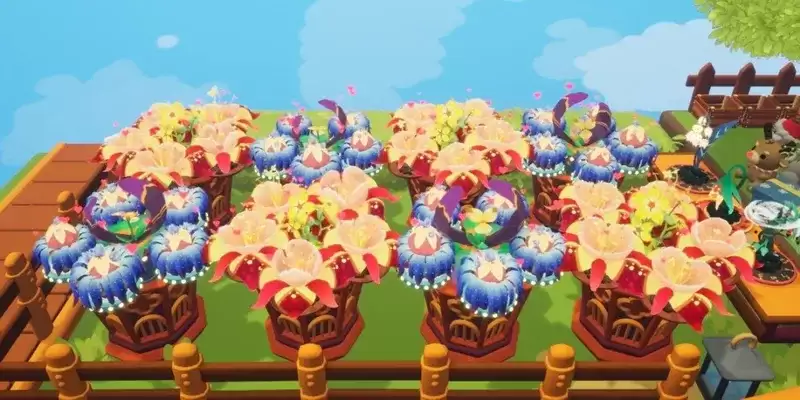 ��Gardenin��������������-ֲ��ڷż��ɷ���