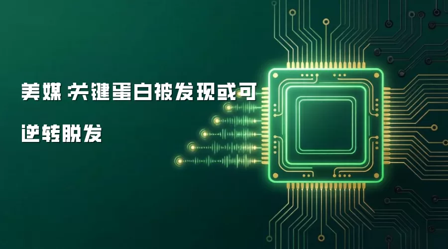 ��ý���ؼ����ױ����ֻ����ת�ѷ�