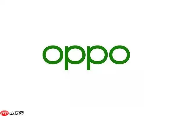 oppo�ֻ���ô����ʡ��ģʽ_oppo�ֻ�ʡ���Ż��ӳ�����������ʵ�á�