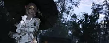 ����ʮ��������ǰ��������ʲô-����ʮ��������ǰ���������