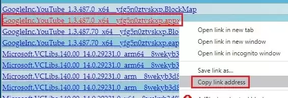 Windows���԰�װYoutube