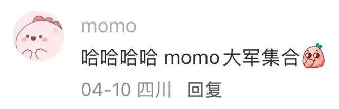 ׷��CEO��Ʊ���momo��������Ʒ��������ں䣺С������ܲ��ܣ�