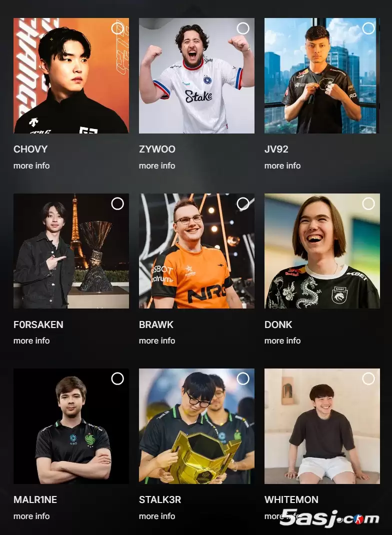 donk��ZywOo���Σ�2025�羺��CS2ѡ���۷�Ծ� ����������������