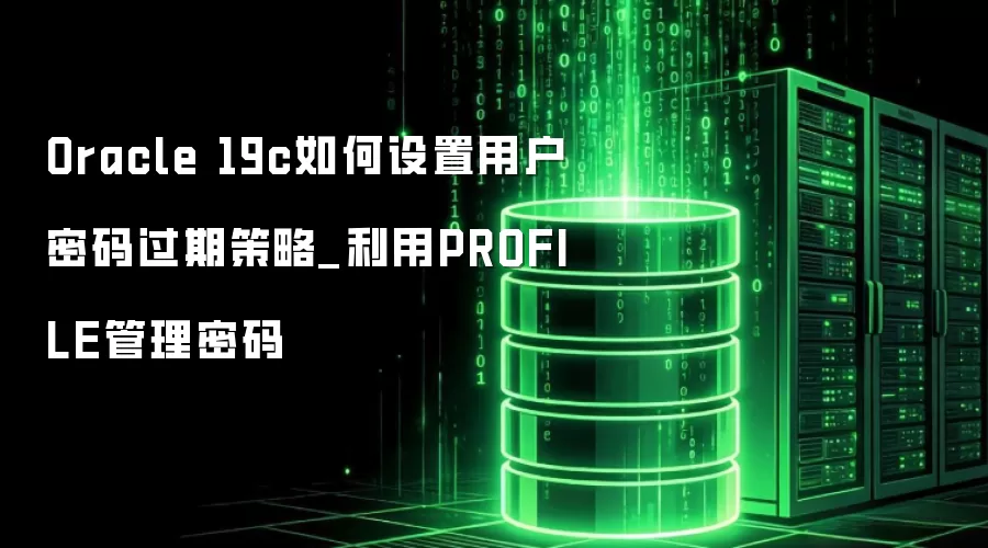 Oracle 19c��������û�������ڲ���_����PROFILE��������