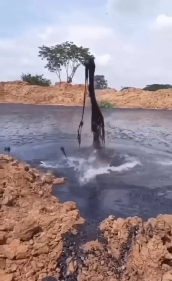 ���ơ�������ǳ��BT��С���������ת��