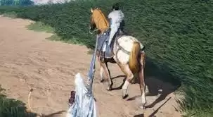 ����ʮ������������������Щ����