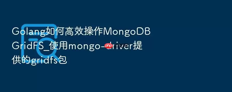 Golang��θ�Ч����MongoDB GridFS_ʹ��mongo-driver�ṩ��gridfs��
