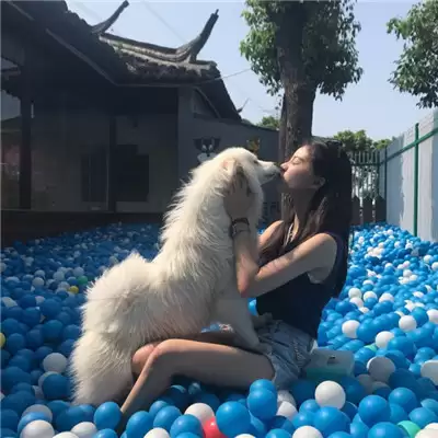 ����Ӣ��������Ů������(��ѡ100��)