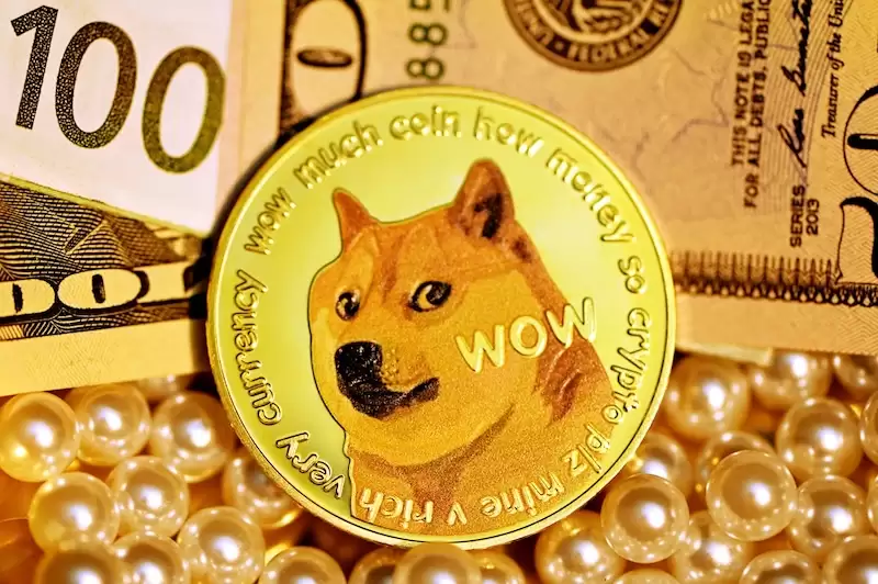 ��˹���ٴΰ�ʾ������DOGE֧�� Twitter���ɼ�����ڣ�
