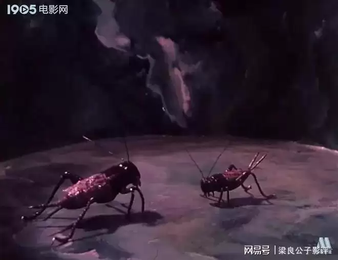 �����С��ⲿľżƬ���ѡ���ի���Ĳп��ĵñȿֲ�Ƭ��ѹ��