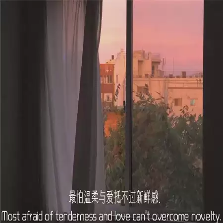 ΢�����˸�Ӣ��Ů������(��ѡ100��)