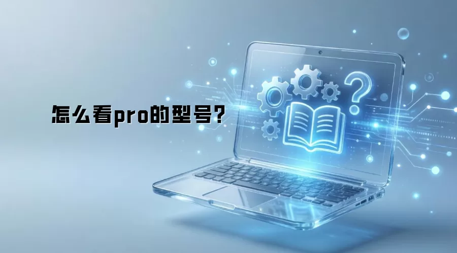 ��ô��pro���ͺţ�