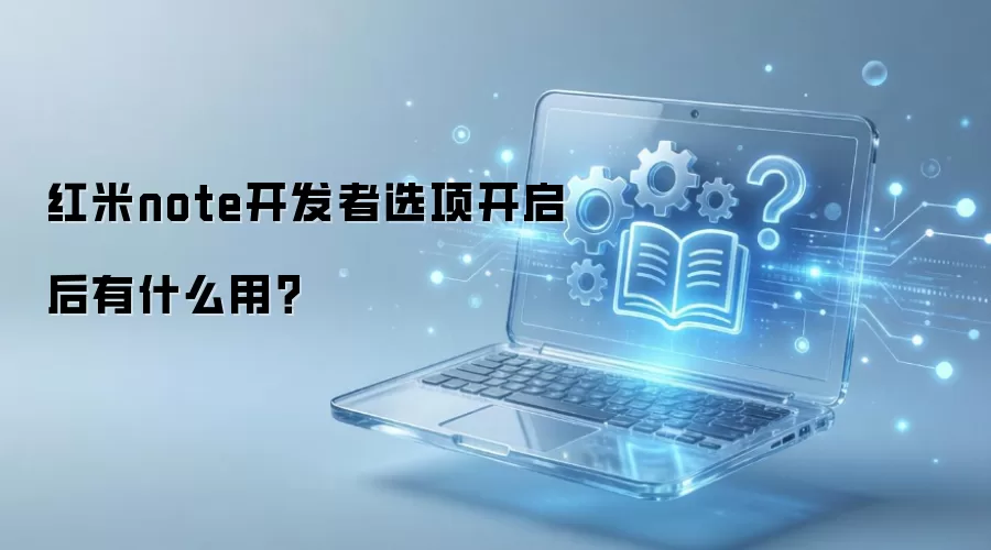 ����note������ѡ�������ʲô�ã�
