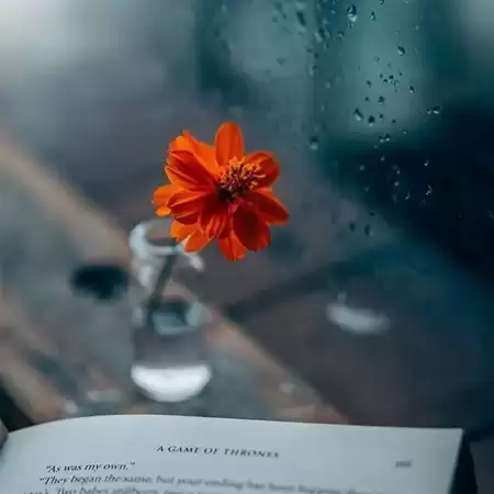 �˸�����С��Ӣ������(��ѡ100��)