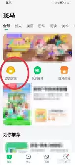 ����Ӣ��APP�ͷ���ϵ��ʽ��ô��