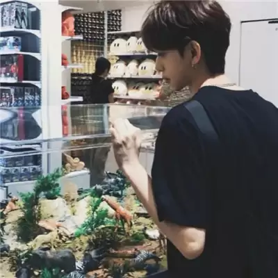 ��˫����������������(��ѡ100��)